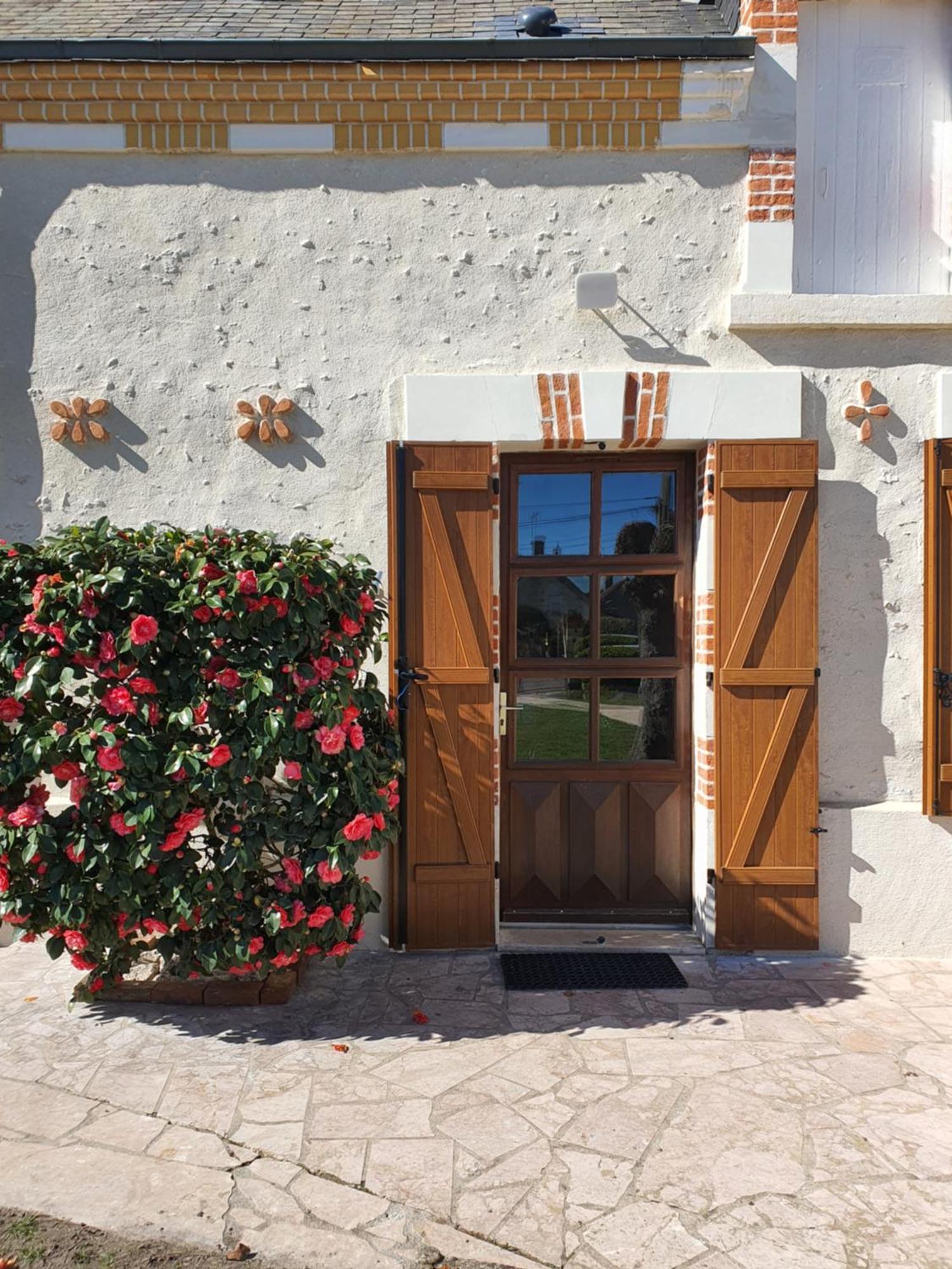 Les Camelias Villa Selles-sur-Cher Exteriör bild
